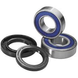 Honda TRX300 Fourtrax 300 1993-00 Front Wheel Bearing