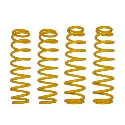 Can-Am Commander 6" Lift Replacement Springs (Set of 4)