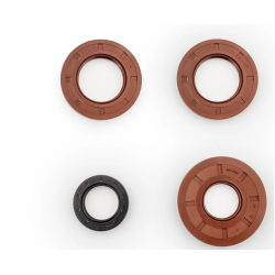 Polaris RZR XP Turbo Premium Transmission Bearing Upgrade Kit
