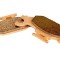 Yamaha Grizzly 700 EPS 2010-2013 Front Brake Pads Severe Duty 