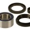 Honda TRX500FA 2001-04 Front Wheel Bearing
