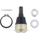 All Balls Honda Pioneer 1000 / Pioneer 1000-5 / Pioneer 1000-6 Lower Ball Joint 42-1060
