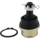 All Balls Can-Am Outlander / Traxter / Renegade Lower Ball Joint 42-1039 All Balls Can-Am Outlander / Traxter / Renegade Lower Ball Joint 42-1039