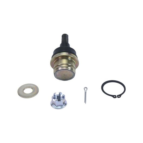 All Balls Honda Pioneer 1000 / Pioneer 1000-5 / Talon 1000X-4 Upper Ball Joint 42-1058 All Balls Honda Pioneer 1000 / Pioneer 1000-5 / Talon 1000X-4 Upper Ball Joint 42-1058