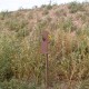 TOPO Motorsports AR500 Steel Target Post TOPO Motorsports AR500 Steel Target Post
