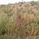 TOPO Motorsports 3/8″ AR500 Static Steel Target – 12" x 8" Diamond TOPO Motorsports 3/8″ AR500 Static Steel Target – 12" x 8" Diamond