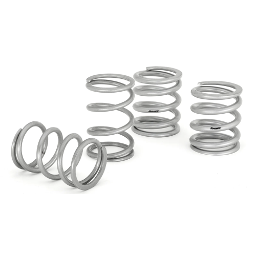 Polaris RZR XP 4" Long Travel Kit