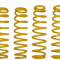 Can-Am Commander 6" Lift Replacement Springs (Set of 4)