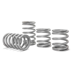 Polaris RZR XP 1000 Tender Springs