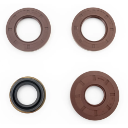 Polaris RZR XP Premium Transmission Bearing Upgrade Kit