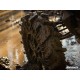 SuperATV Terminator Max 44x10-24 Tire SuperATV Terminator Max 44x10-24 Tire